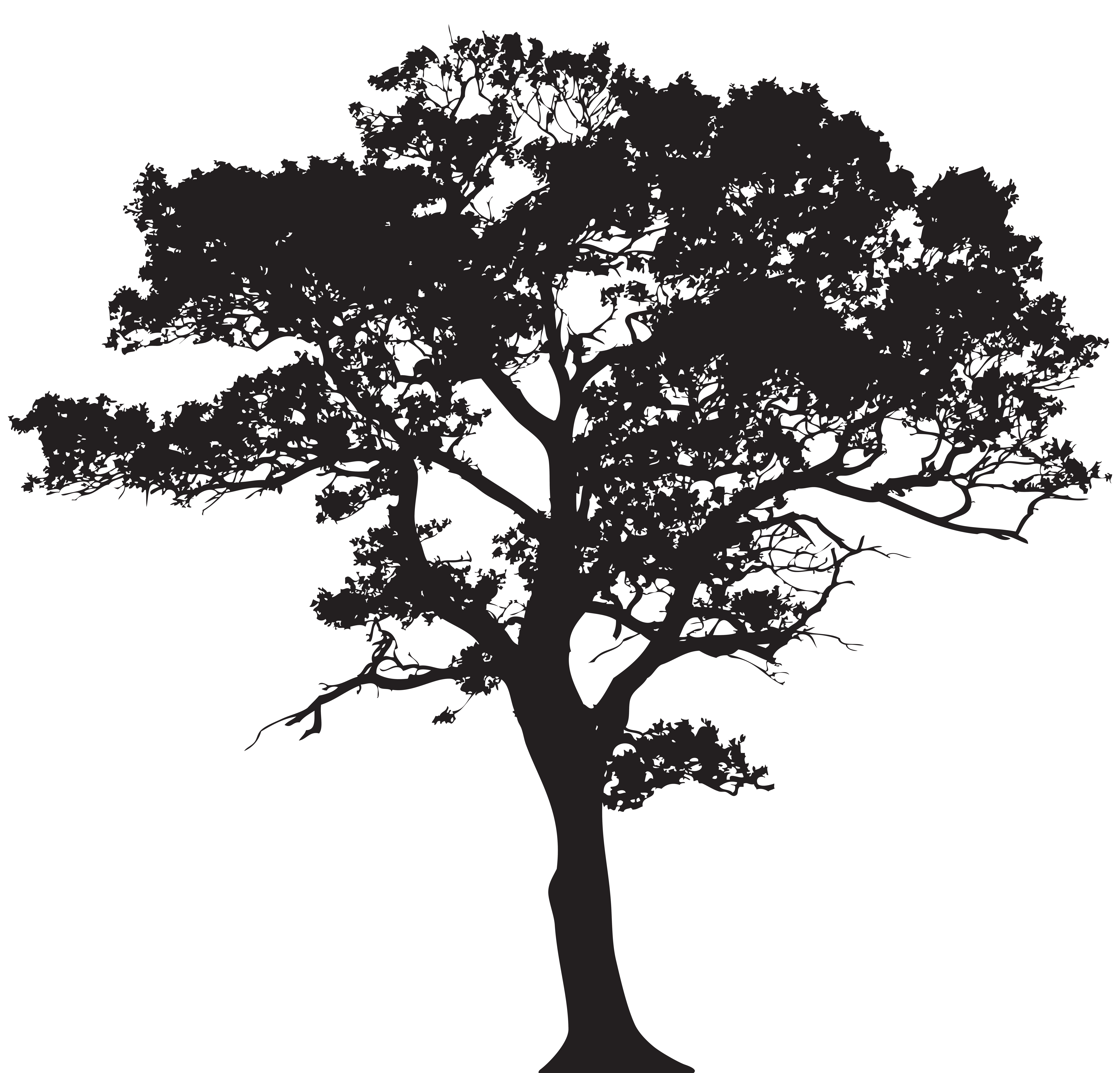Silhouette Tree Free Frame Clipart