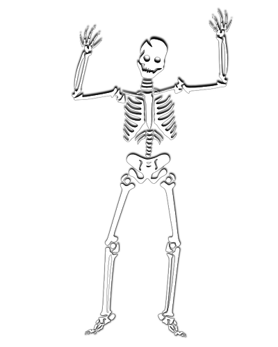 Skeleton Image Png Clipart