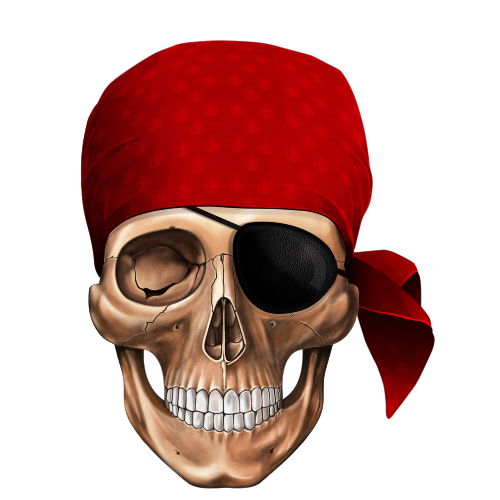 Skull Piracy Jolly Roger Human Symbolism Pirate Clipart