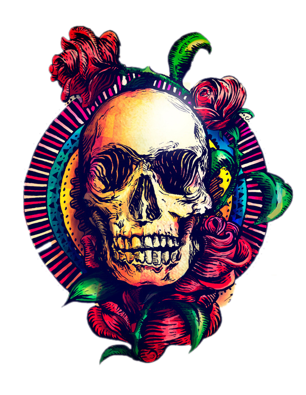 Art Skeleton Skull Calavera Human Cool Clipart