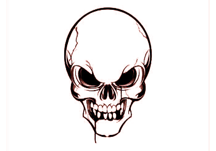 Euclidean Vector Skull PNG Download Free Clipart