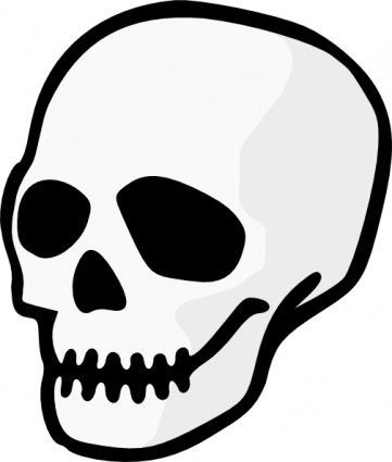 Skull Hd Photos Clipart