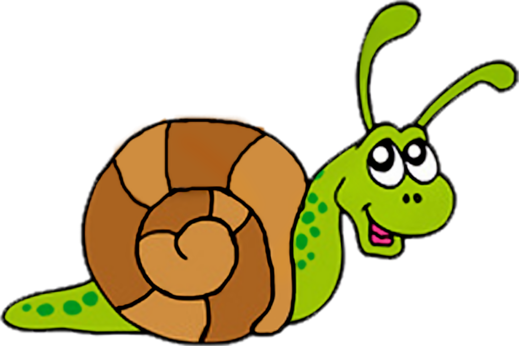 Snail Images Free Download Clipart