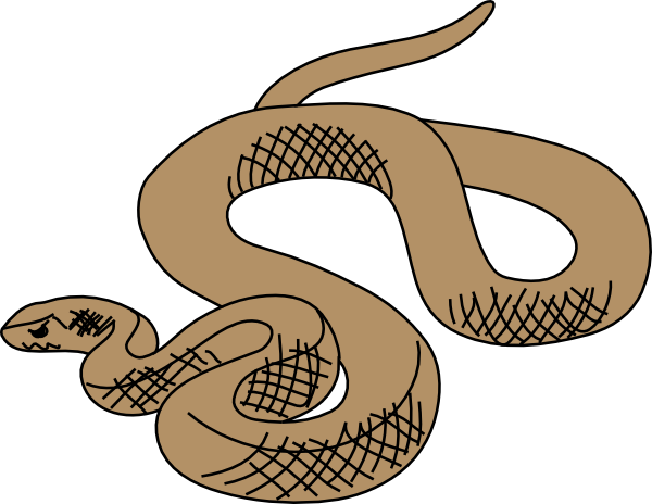 Snake Cute Snake Free Download Png Clipart