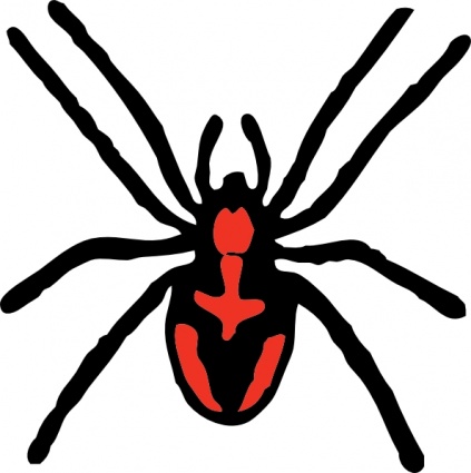 Spider Vector Graphic Transparent Image Clipart