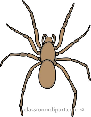 Search Results Search Results For Spider Pictures Clipart