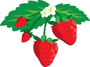 Strawberry Border Library Free Download Clipart