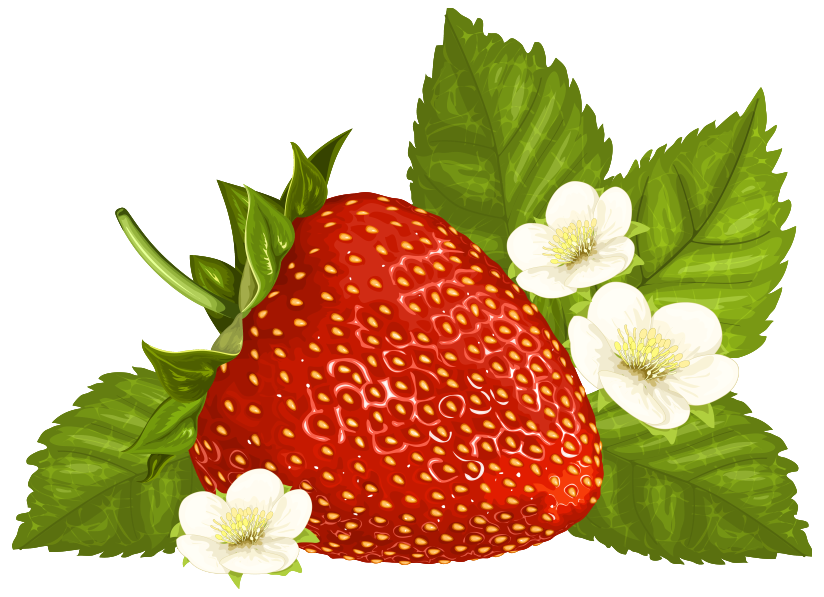 Strawberry Images 4 Wikiclipart Hd Image Clipart