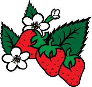Strawberry Strawberries Vector 4Vector Png Image Clipart