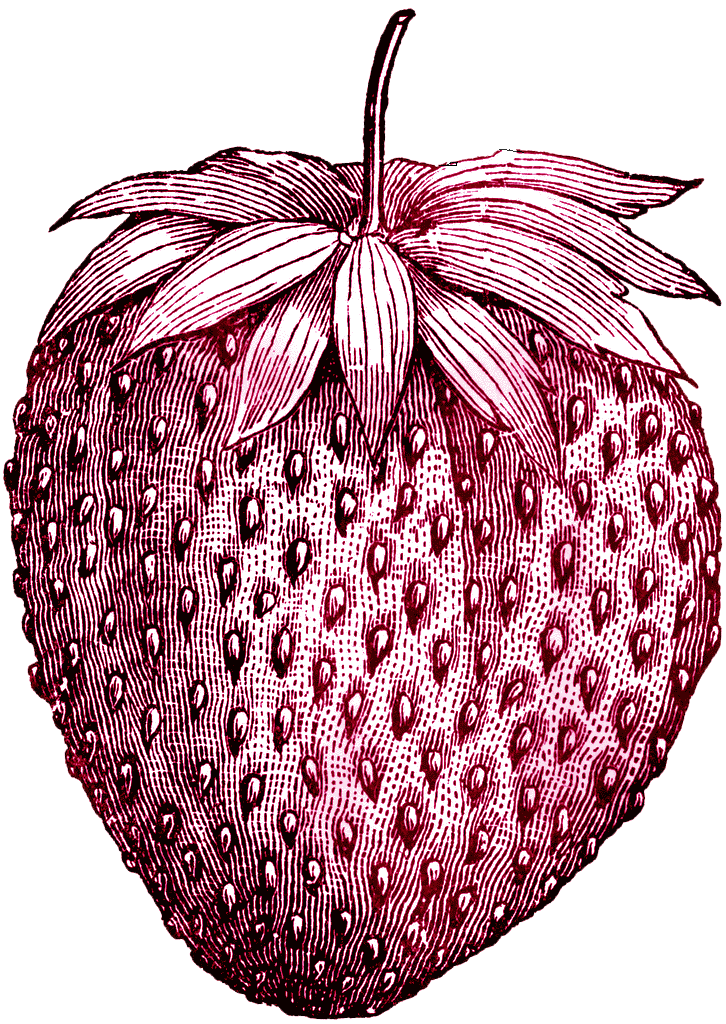 Tattoo Vintage Ice Strawberry Fruit Drawing Cream Clipart