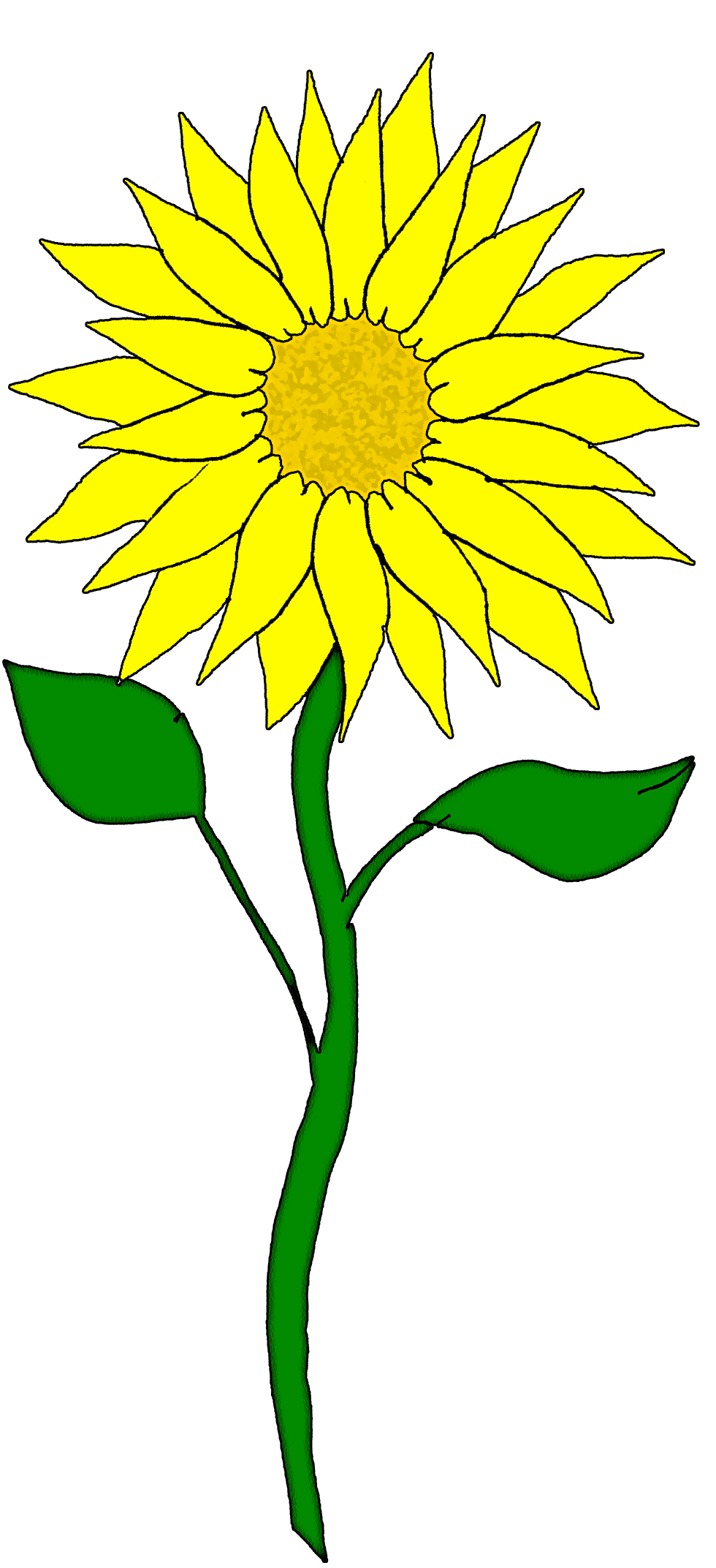 Sunflower Images 2 Png Image Clipart