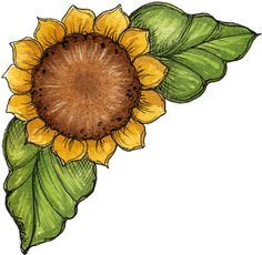 Sunflowers Free Download Clipart