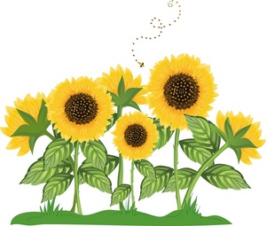 Happy Sunflower Images Hd Photos Clipart