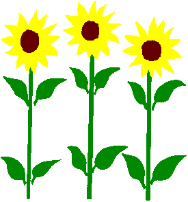 Sunflower Png Image Clipart