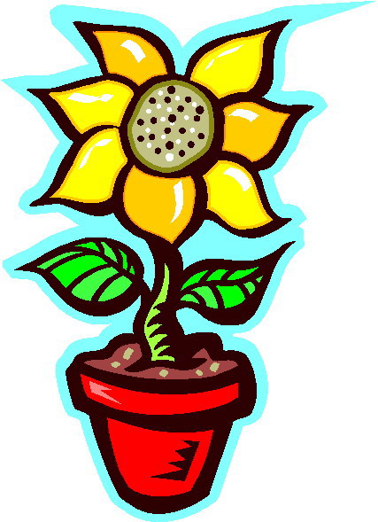 Sunflower Image Png Clipart