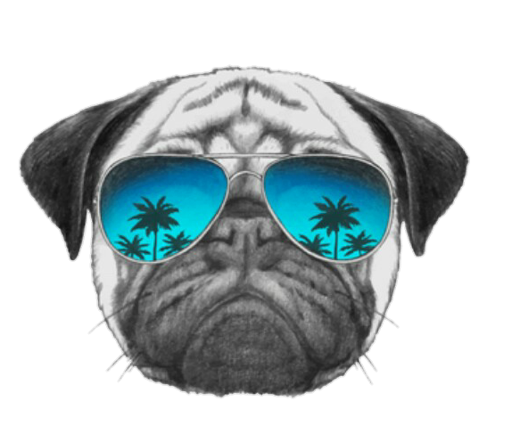 T-Shirt Pug Sunglasses Dog Collar Free PNG HQ Clipart