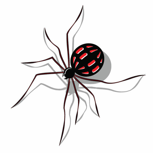 Spider With Red Spots Clipart