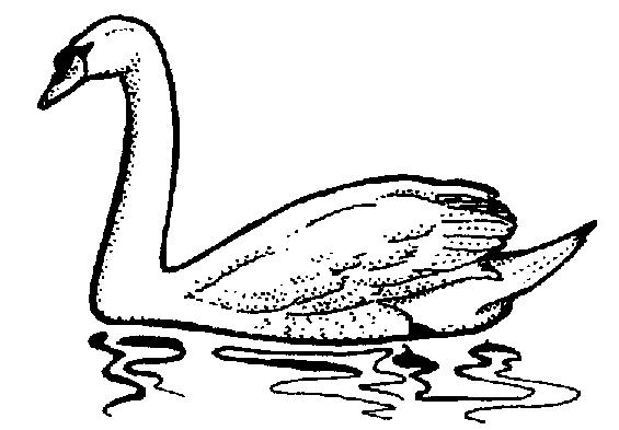 Swan Hostted Free Download Png Clipart