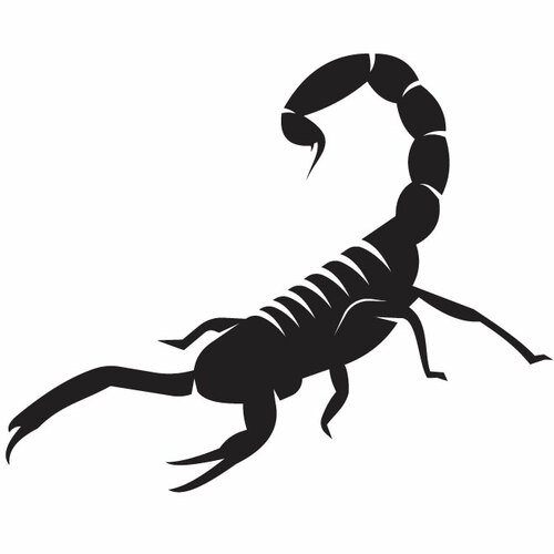 Scorpion Silhouette Tattoo Art Clipart