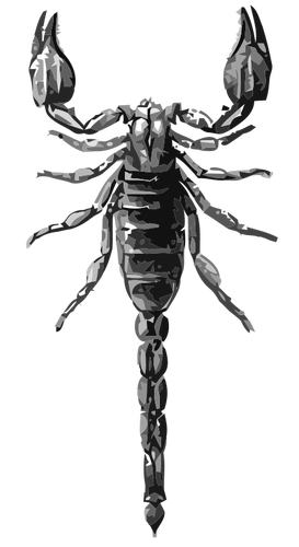 Scorpion Grayscale Clipart