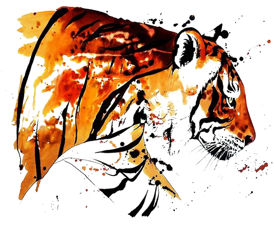 Watercolor Tattoo Bengal Tiger Painting Drawing Clipart