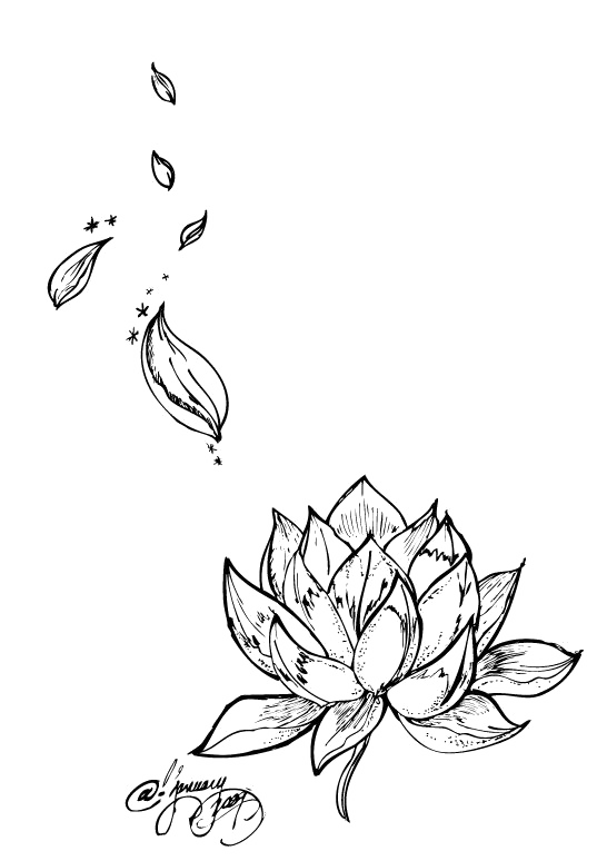 Tattoo Flower Nelumbo Nucifera Lotus Egyptian Drawing Clipart