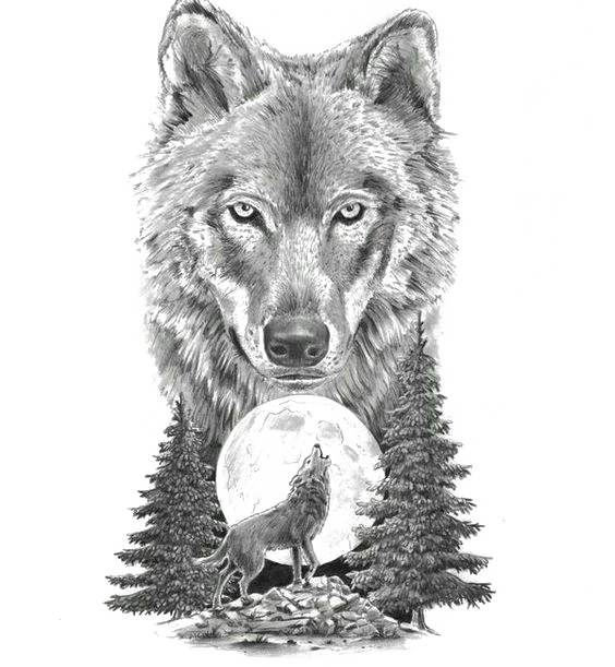 Gray Sketch Art Tattoo Artist Motion Wolf Clipart