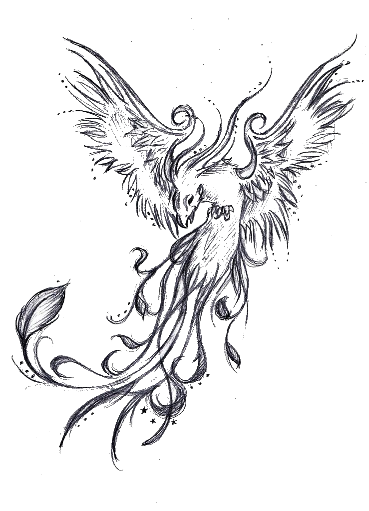 Tattoo Phoenix Sleeve Legendary Drawing Creature Clipart