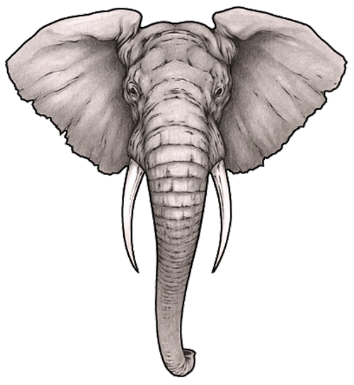 Tattoo Head Sleeve Artist Elephant Ink Clipart