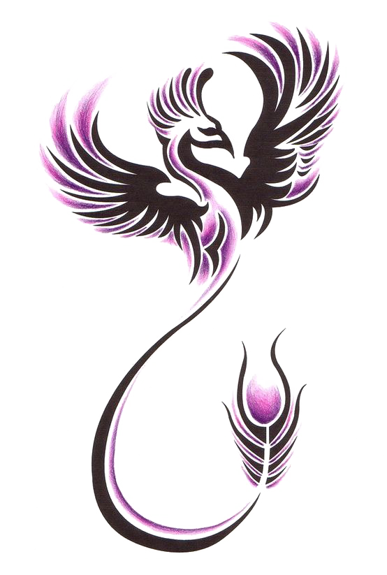 Tattoo Sleeve Phoenix Nz Studio Ink Clipart