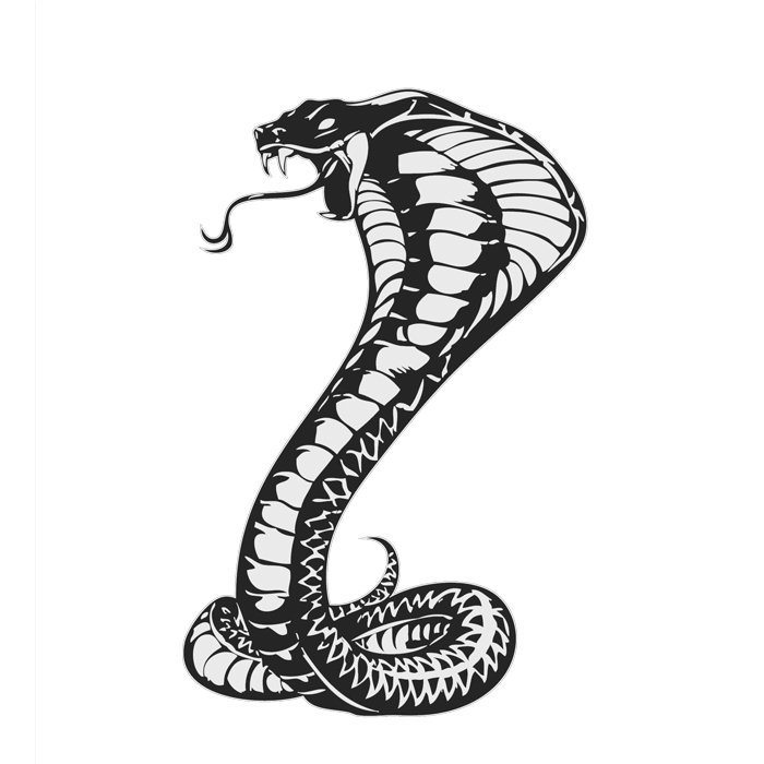 Cobras King Cobra Snakes Tattoo Snake Drawing Clipart
