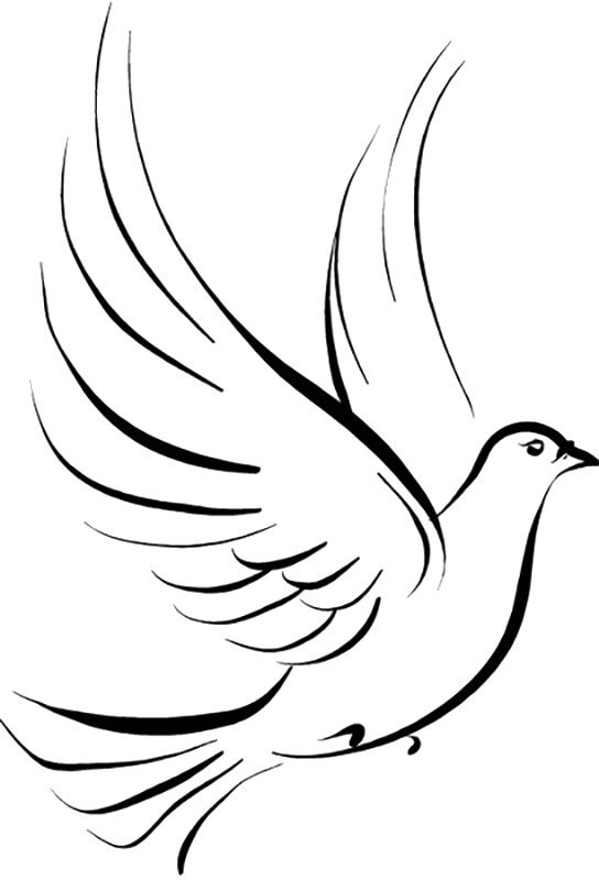 Tattoo Stencil Pigeon Pen Jane Drawing Clipart