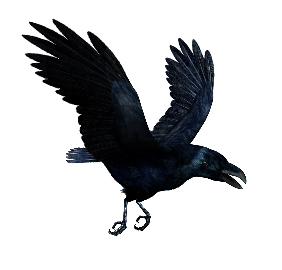 Tattoo Flying T-Shirt Hoodie Lower-Back Raven Clipart