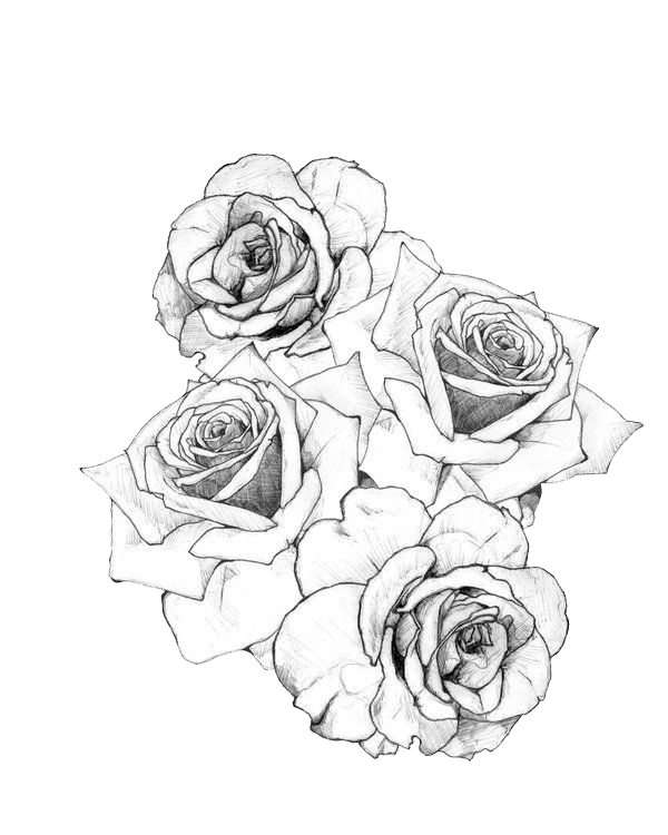 Tattoo Flash Rose Artist Free HD Image Clipart