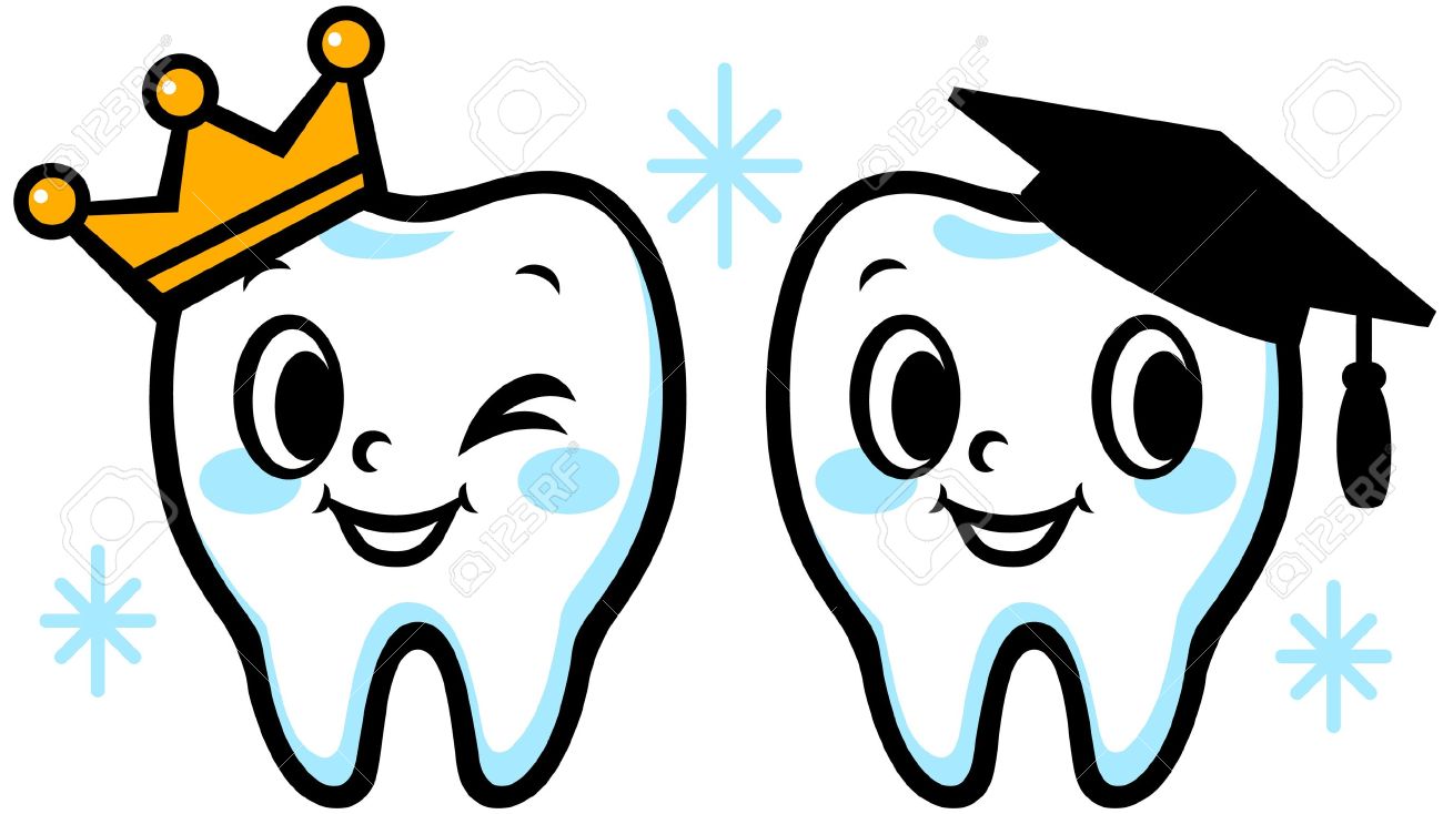 Tooth Com Png Image Clipart