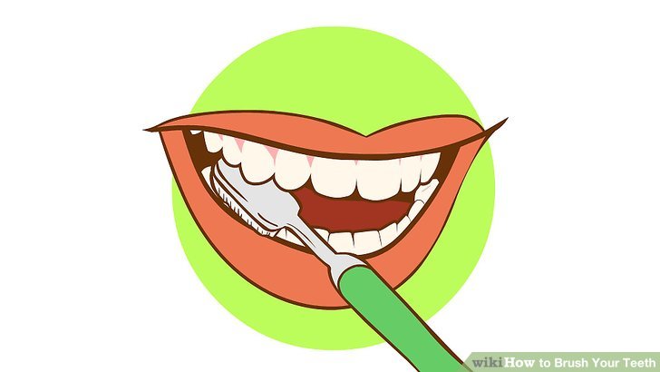 Brush Teeth How To Brush Your Teeth Clipart
