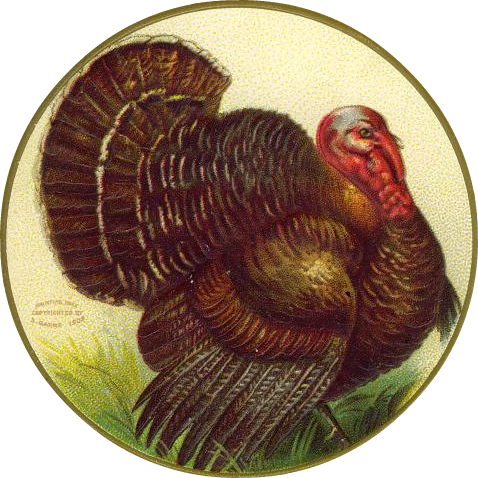 Thanksgiving From Vintage Holiday Crafts Blog Archive Clipart