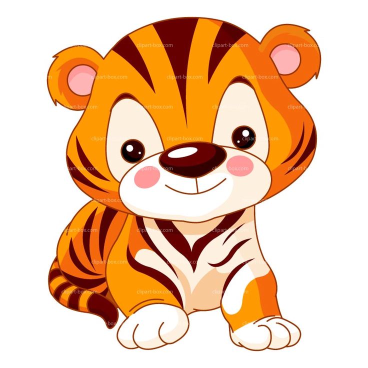 Animals Cute Tiger Gallery Images Transparent Image Clipart