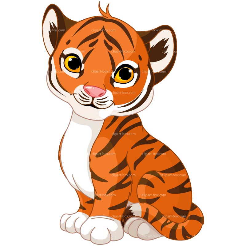 Baby Tiger Face Images 2 Wikiclipart Clipart