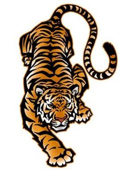 Image Result For Tiger Animal Clipart Clipart