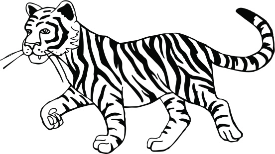 Black And White Tiger Library Png Image Clipart