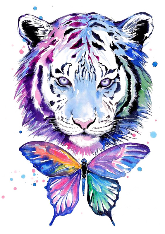 T-Shirt Watercolor Water Tiger Painting Drawing Clipart