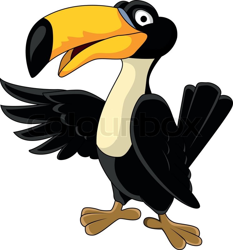 Cartoon Toucan Vector Toucan Bird Cartoon Colour Clipart