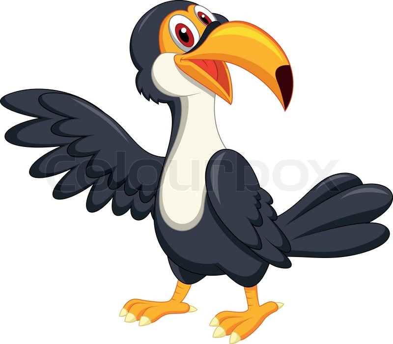 Cartoon Toucan Vector Cute Parrot Bird Cartoon Clipart