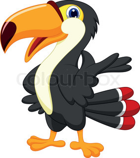 Cartoon Toucan Vector Toucan Bird Cartoon Colour Clipart