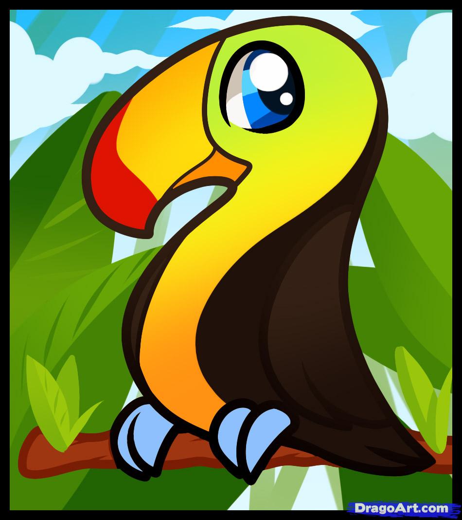 Cartoon Toucan How To Draw A Toucan Clipart