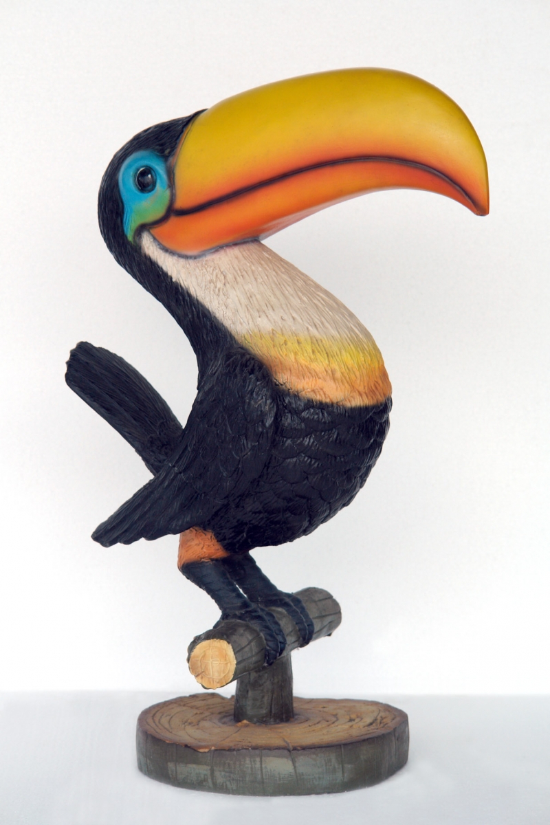 Pop Art Decoration Animals Birds Cartoon Toucan Clipart