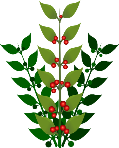 Branch With Berries Clipart