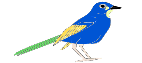 Image Of Colorful Parrot Clipart
