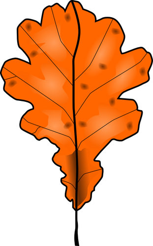 Brown Fall Leaf Clipart